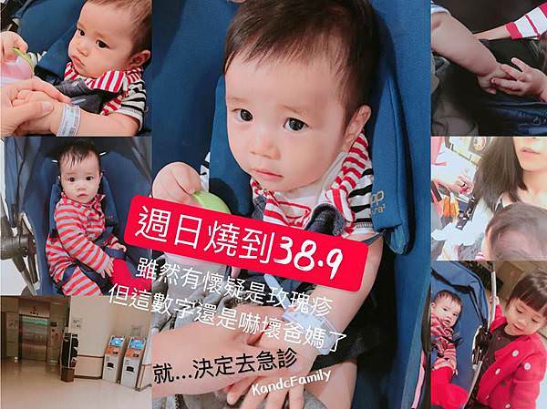 玫瑰疹2.jpg 玫瑰疹2.jpg