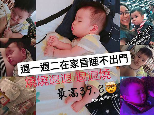 玫瑰疹3.jpg 玫瑰疹3.jpg