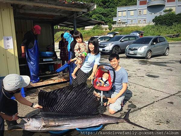 魚４.jpg