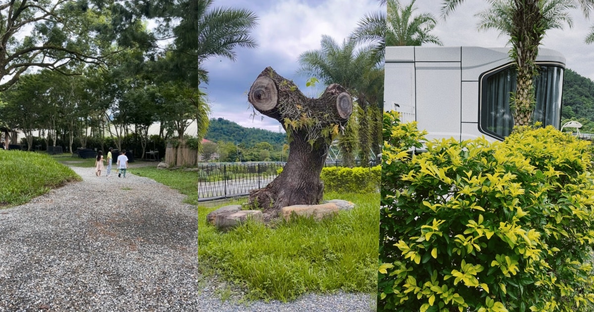南投埔里|緣溪行森林營地的奇妙旅程:來一場森林小探險吧! - 第10張圖